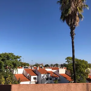 Familia Anfitriona Acoge Terraza , Sevilla España